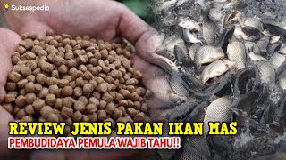 Download lagu REVIEW JENIS PAKAN IKAN MAS SUPAYA CEPAT BESAR - PEMBUDIDAYA PEMULA WAJIB TAHU!! mp3