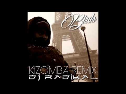 BIRDS - KIZOMBA REMIX - DJ RADIKAL