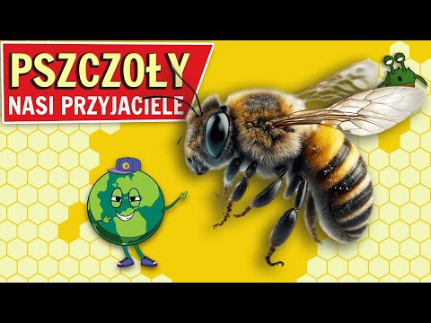 Dlaczego PSZCZOŁY 🐝 są NAJWAŻNIEJSZYMI owadami na Ziemi?