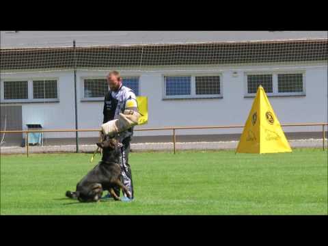 2016 Czech Nationals Břetislav Klomínský with Coudy z udoli Upy Protection