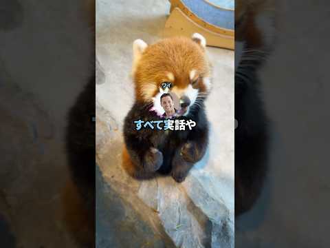 【2ch面白いスレ】大学合格彼女「1年待ってるからね」不合格ワイ「ありがとう😭」