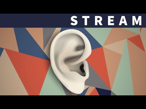 Ear Training - How to Recognize Notes, Scales, Chords & More! | My Best Advice