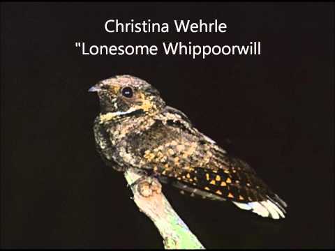 Lonesome Whippoorwill
