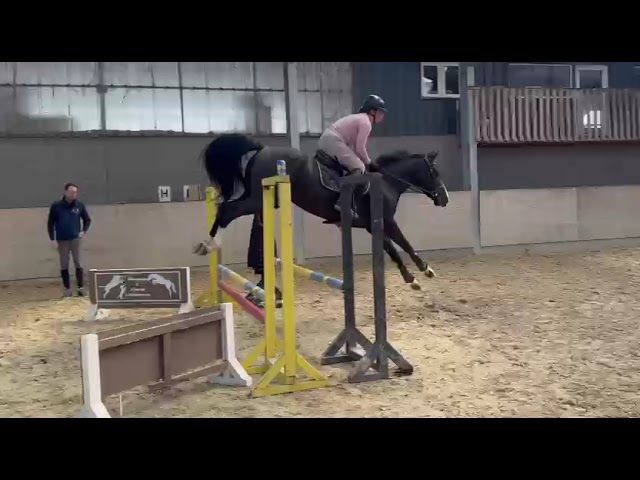 VANITEUX VD WILGENHOEVE