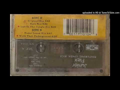 Junior Flex Feat. Linda Rice - Work That Love (Euro Mix)