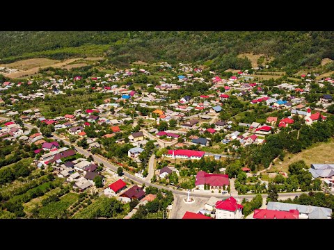 Comuna Ploscuțeni, Vrancea.