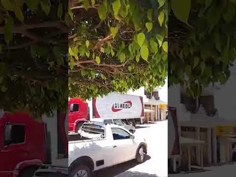 Canteiros de chaga de Lagoa do Dionisio Ibitiara Ba