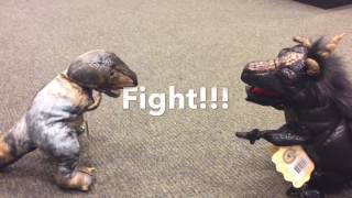 T-rex vs Dragon (made with IMovie) definitely ear abuse