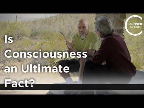 Stuart Hameroff - Is Consciousness an Ultimate Fact?