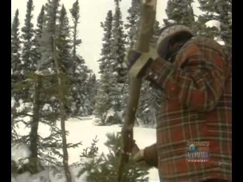 Ray Mears' World Of Survival S02E05 - The Barren Lands