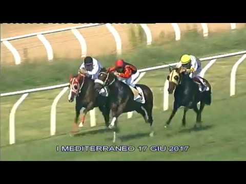 Galoppo Corse del 17 GIUGNO 2017