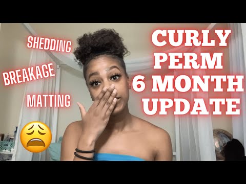 GINACURL Curly Perm 6 MONTH UPDATE // Shedding,...