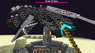 Minecraft But You Can Mine The Ender Dragon
