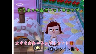 どうぶつの森ポケットキャンプ~もうすぐバレンタイン編♡~