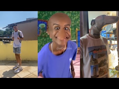 OS MELHORES TIK TOK DE COMÉDIA - TENTE NÃO RIR! #164