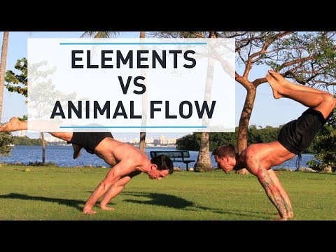 GMB vs Animal Flow - Which is better? (with Mike Fitch & Ryan Hurst)