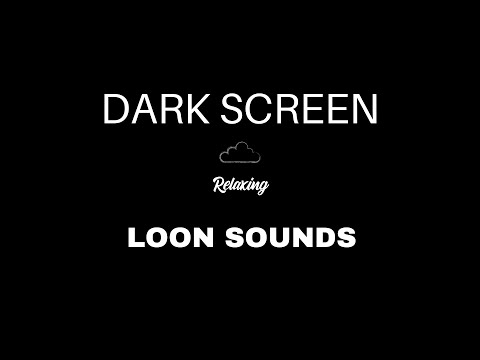 Loon Sounds for Sleeping | BLACK SCREEN | Loon Calls