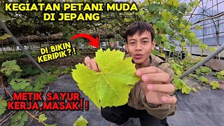 Download lagu METIK SAYUR DAN MASAK BARENG !! INILAH KEGIATANKU DI JEPANG mp3