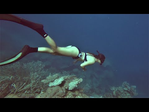 Free Diving a Lagoon on the Great Barrier Reef - Free Range Sailing Ep 77