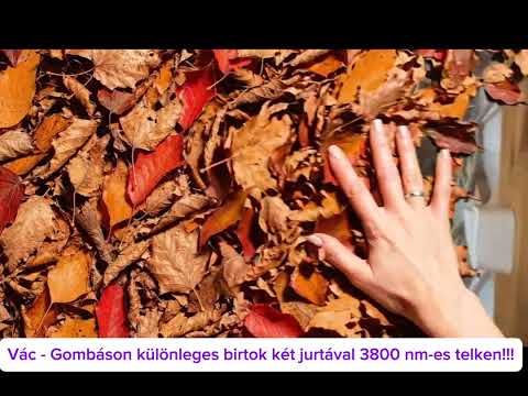 Eladó tanya, Vác 1 szoba 80 m² 44.9 M Ft