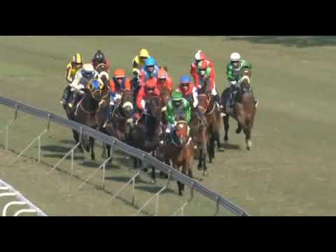 GOOD TRAVELLER - 2021 PREMIERS CHAMPION STAKES (Grade 1)