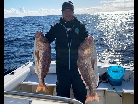 TRAINA COL VIVO   La Ferrata
