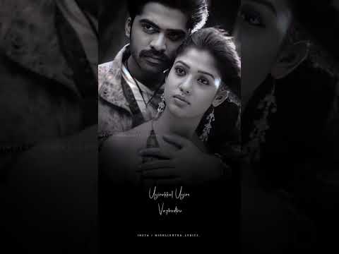 Yammadi Aathadi |#whatsappstatus #lovestatus #love #str #nayanthara #yuvan |Vallavan movie songs