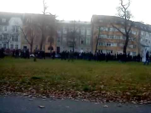 fcv frankfurt  gegen babelsberg