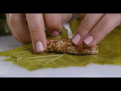 download lagu mp3 mp4 Alafia Grape Leaves, download lagu Alafia Grape Leaves gratis, unduh video klip Alafia Grape Leaves