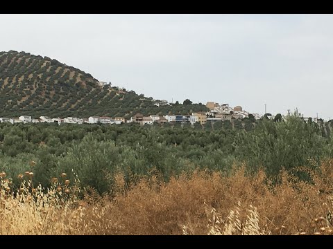 Carretera antigua de Loja a Iznajar
