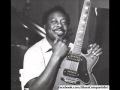 Jimmy Rogers Blues Band - at B.L.U.E.S. Chicago, Illinois. 1989