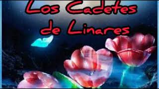 Ven a Buscarme - Los Cadetes de Linares [LETRA]