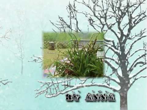 Borgo Flaipano a Montenars