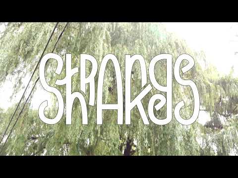 Strange Shakes - Cold Blues