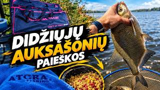 Sugrįžimas į eterį ir didžiųjų paieška Kauno mariose