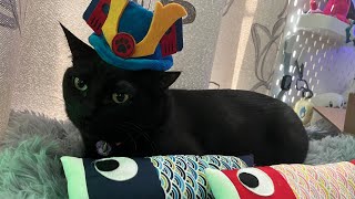 こどもの日🎏