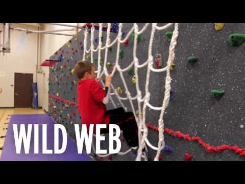 Indoor Safari Plank Walk video 1