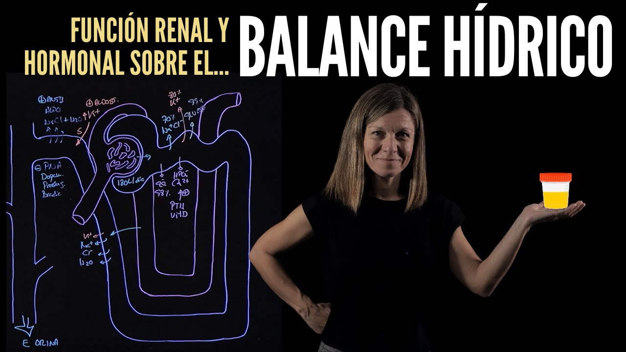 Regulación renal y hormonal del Balance hídrico: homeostasis de la volemia