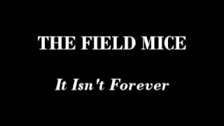 The Field Mice - It Isn&#39;t Forever