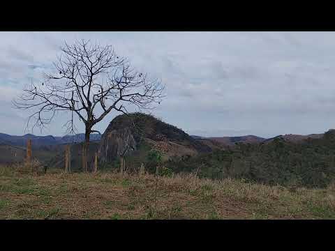 Córrego Santa Barbara - São Félix de Minas 