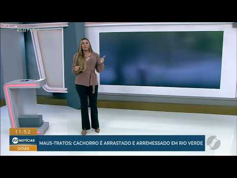 Cachorro é arrastado e arremessado em Rio Verde