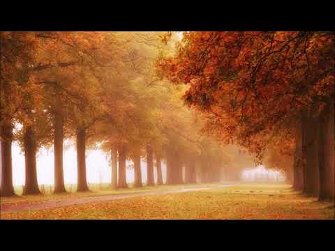 Sois sans alarmes, sans frayeur (Dieu prendra soin de toi)