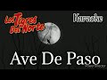 Ave De Paso (Karaoke) | Los Tigres del Norte