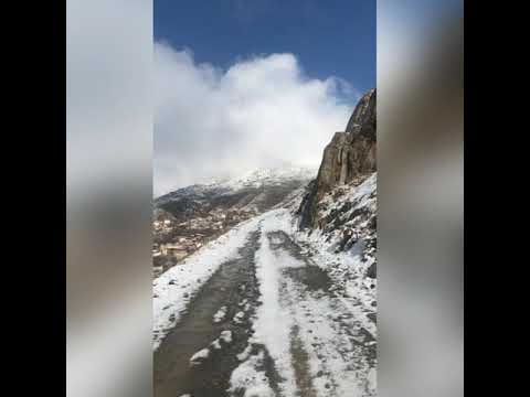 Snowy day #nature #landscape