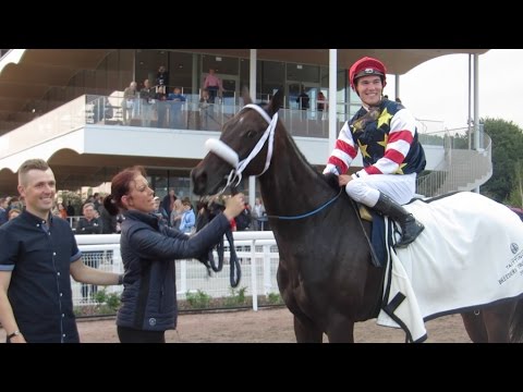 Breeders Trophy Stayer 2016 Dark Eagle