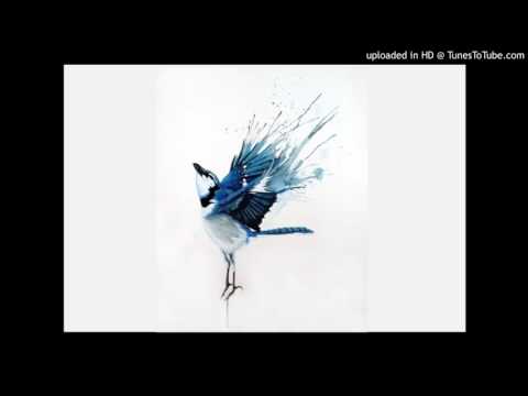 Today's Tango Is... Pájaro Azul - José Basso 08-01-1959