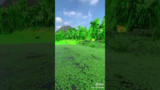 Download lagu Village Music No Copyright |VillageBGM Non Copyright | Village BackgroundMusic Copyright Free mp3