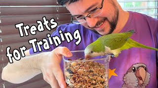 Treats I Use for Quaker Parrot Training