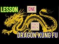 dragon kung fu for beginners with unique way / full body workout while learning dragon kung fu