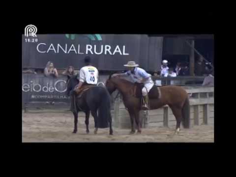 Grand Final – 1st and 3rd place females – Capanegra Quinta Sinfonia and BT Basteira